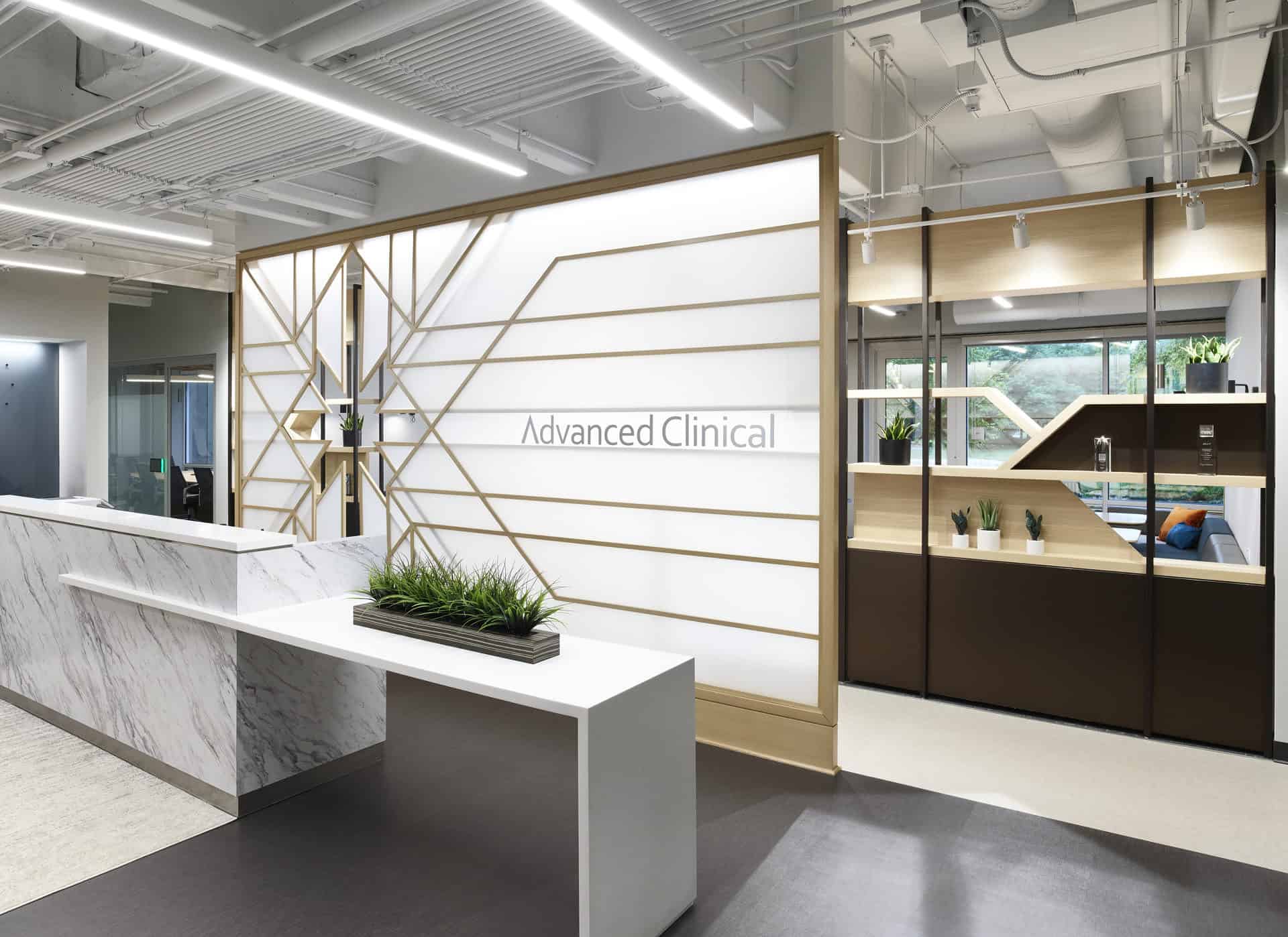 Advanced Clincial Reed Construction